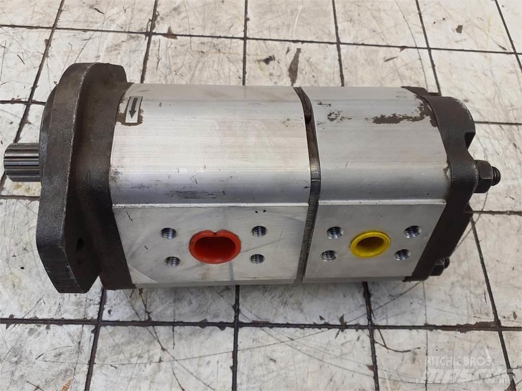  CT2 Dual gear pump Piezas y equipos para grúas