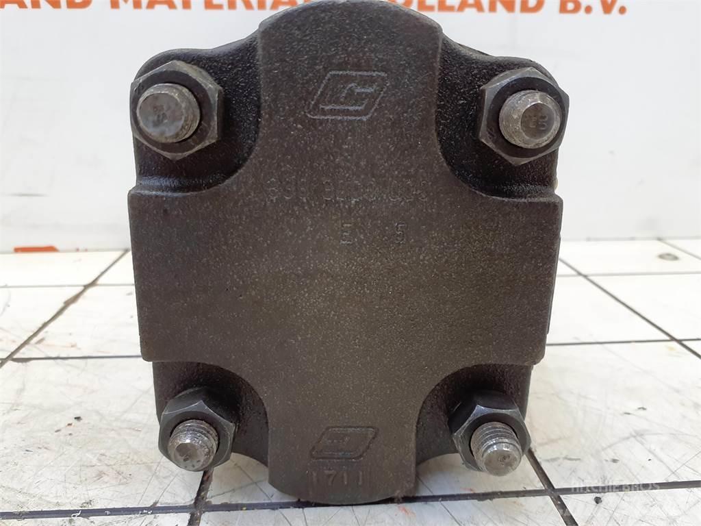  CT2 Dual gear pump Piezas y equipos para grúas