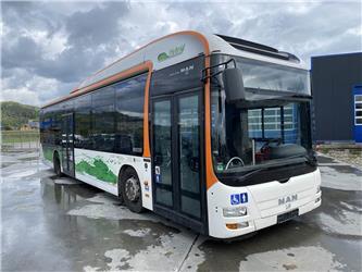 MAN A37