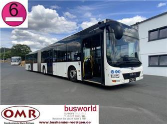 MAN A 23 Lion´s City/ O 530 G Citaro/ Euro 6