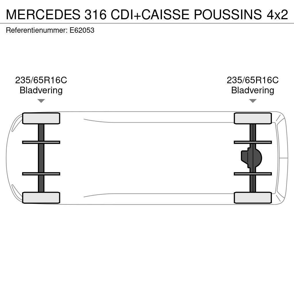 Mercedes-Benz 316 CDI+CAISSE POUSSINS Furgonetas frigoríficas/isotermas