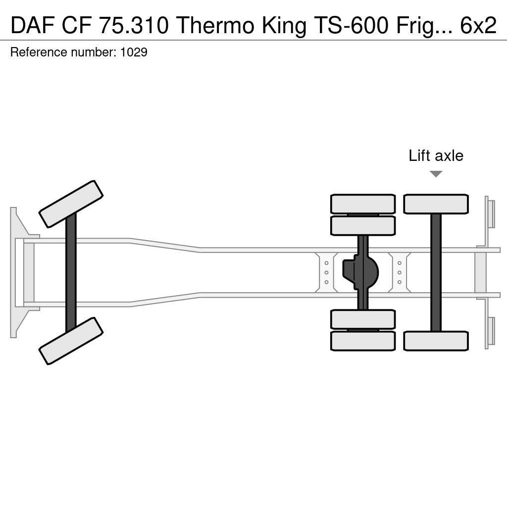 DAF CF 75.310 Thermo King TS-600 Frigo 6x2 Manuel Gear Isotermos y frigoríficos