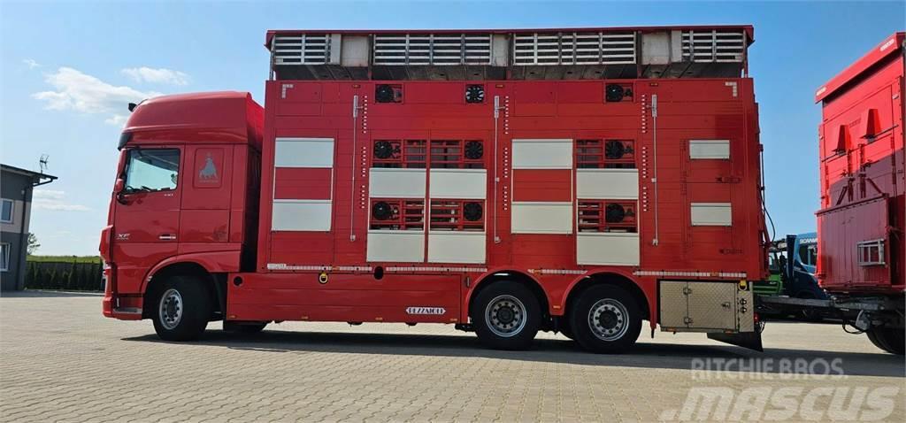 DAF XF 105.510 Camiones de ganado