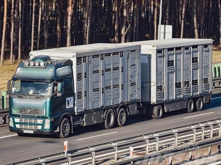 Volvo FH 12 Animal transporter Camiones de ganado