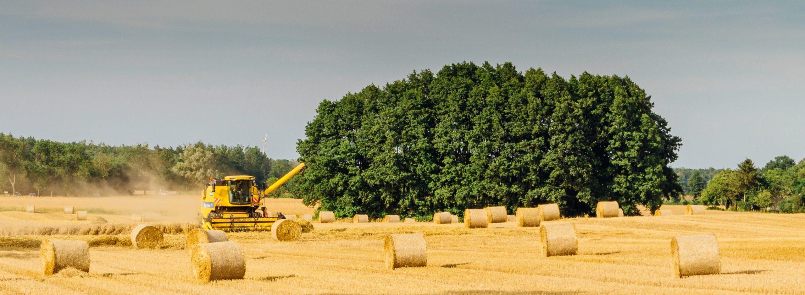 Optimizando la cosecha: estrategias y maquinaria clave para impulsar la productividad agrícola