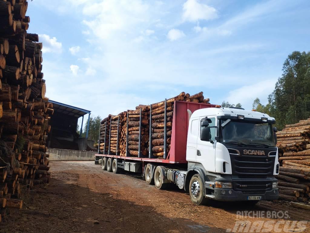 Scania R 560 Transporte de madera