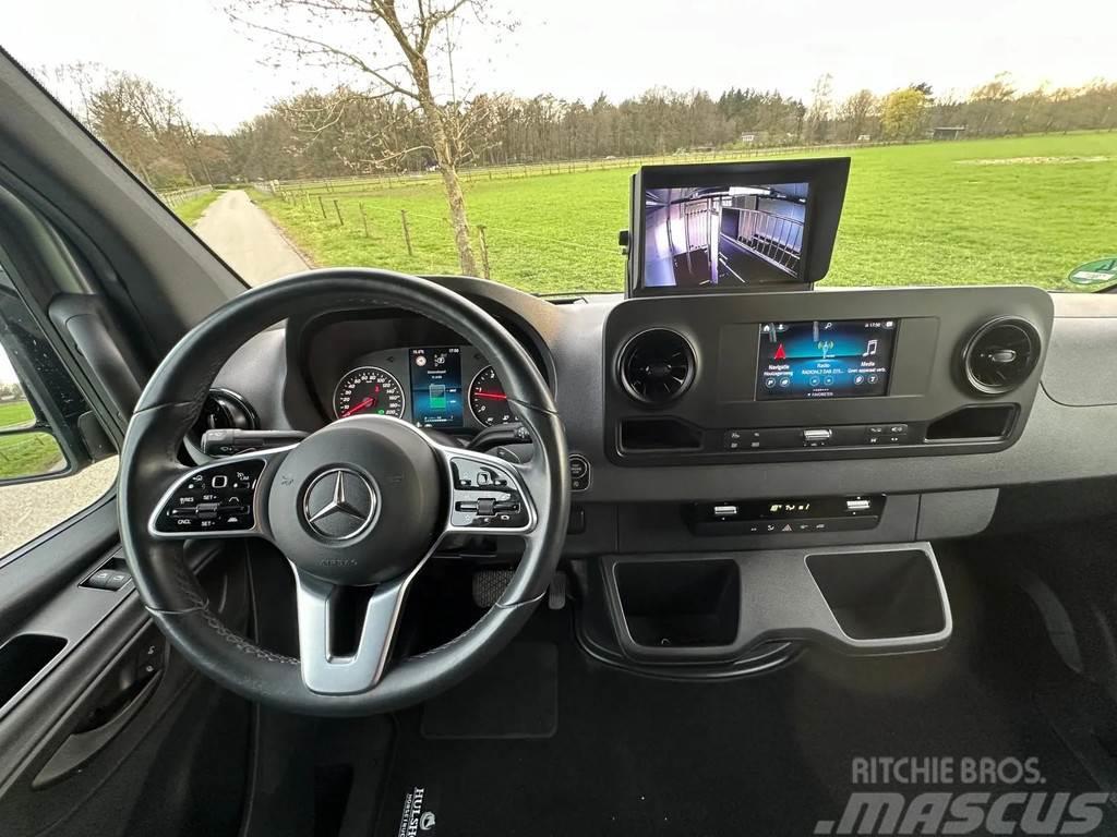 Mercedes-Benz Sprinter AMG 2-paards paardenvrachtwagen B-rijbewi Camiones de ganado