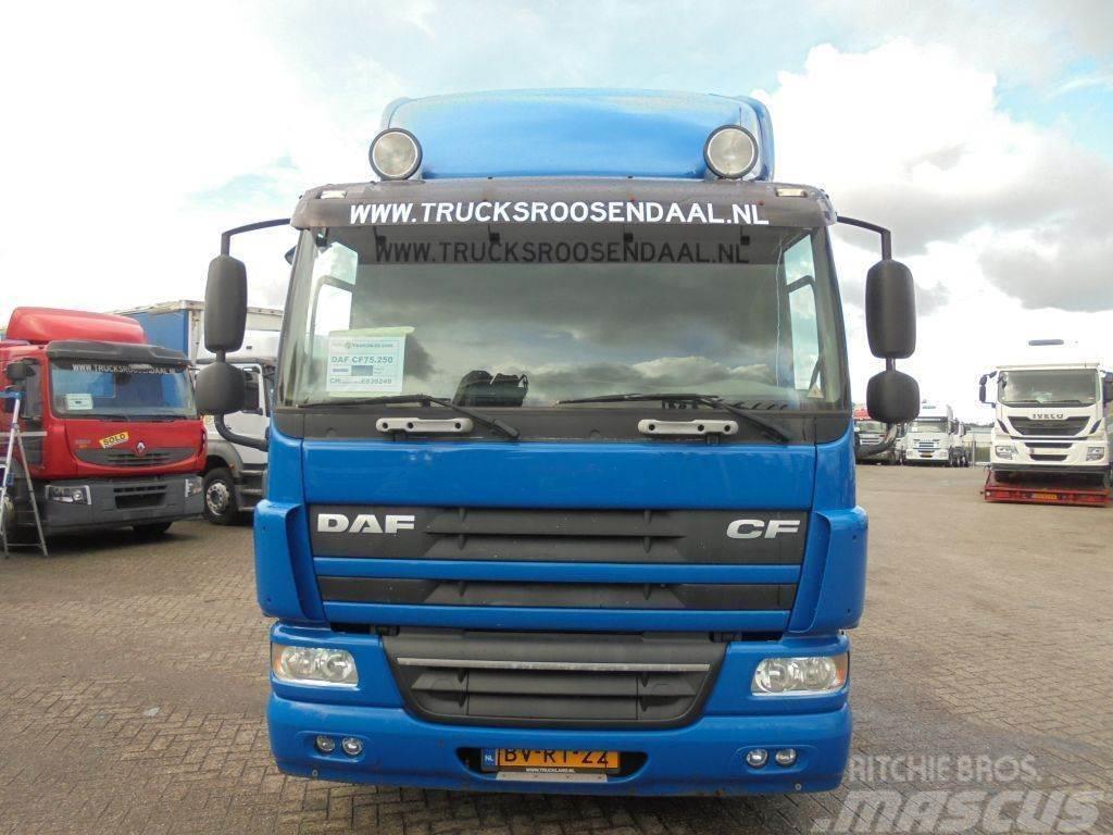 DAF CF 75.250 + Euro 5 Camiones chasis