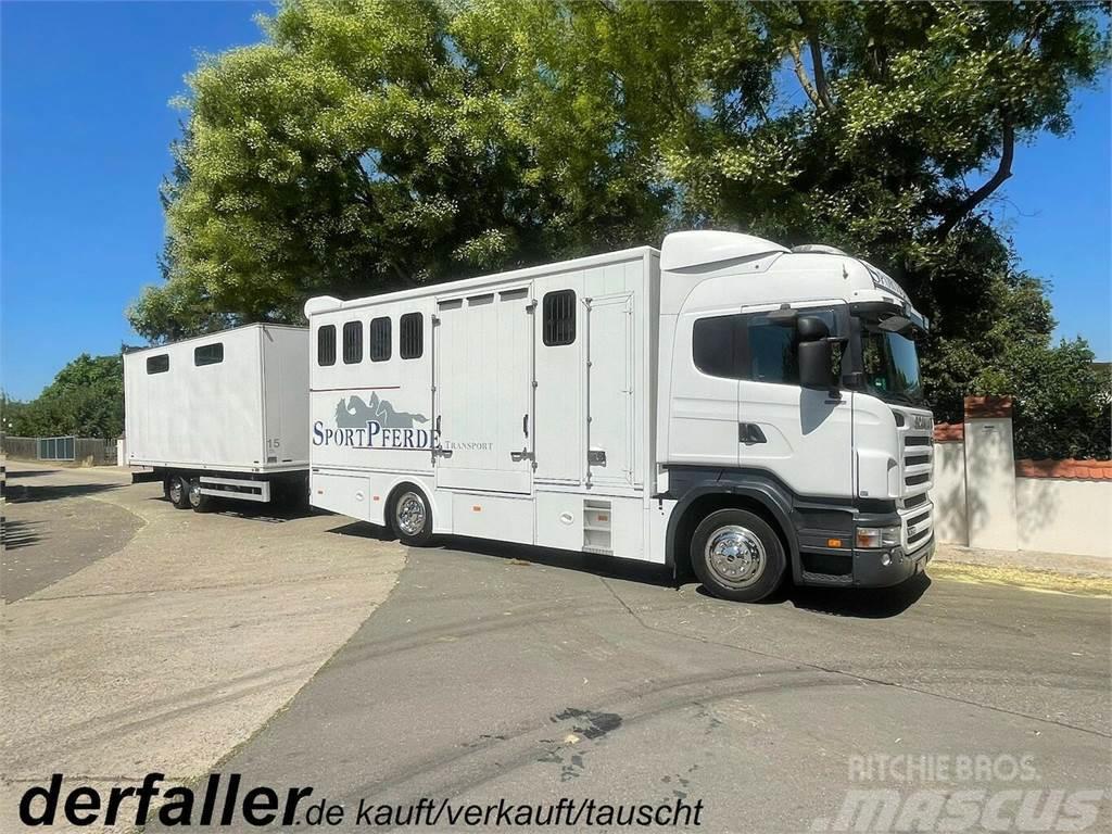 SCANIA R310 mit Spier Hänger 15 Pferde Camiones de ganado