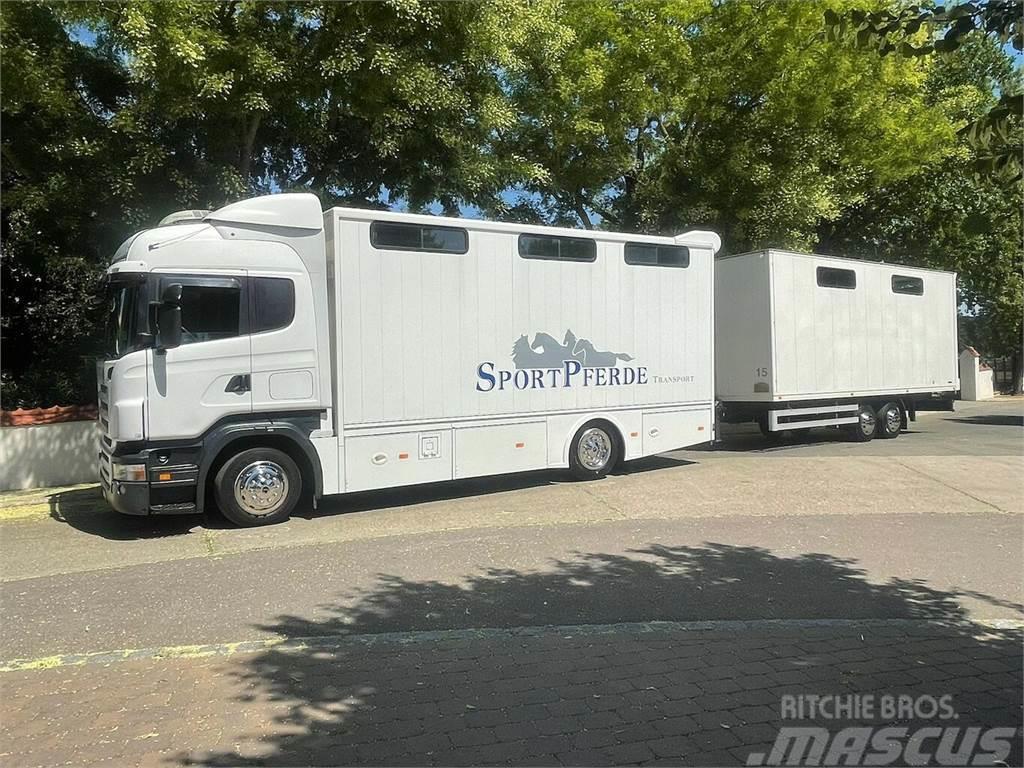 SCANIA R310 mit Spier Hänger 15 Pferde Camiones de ganado
