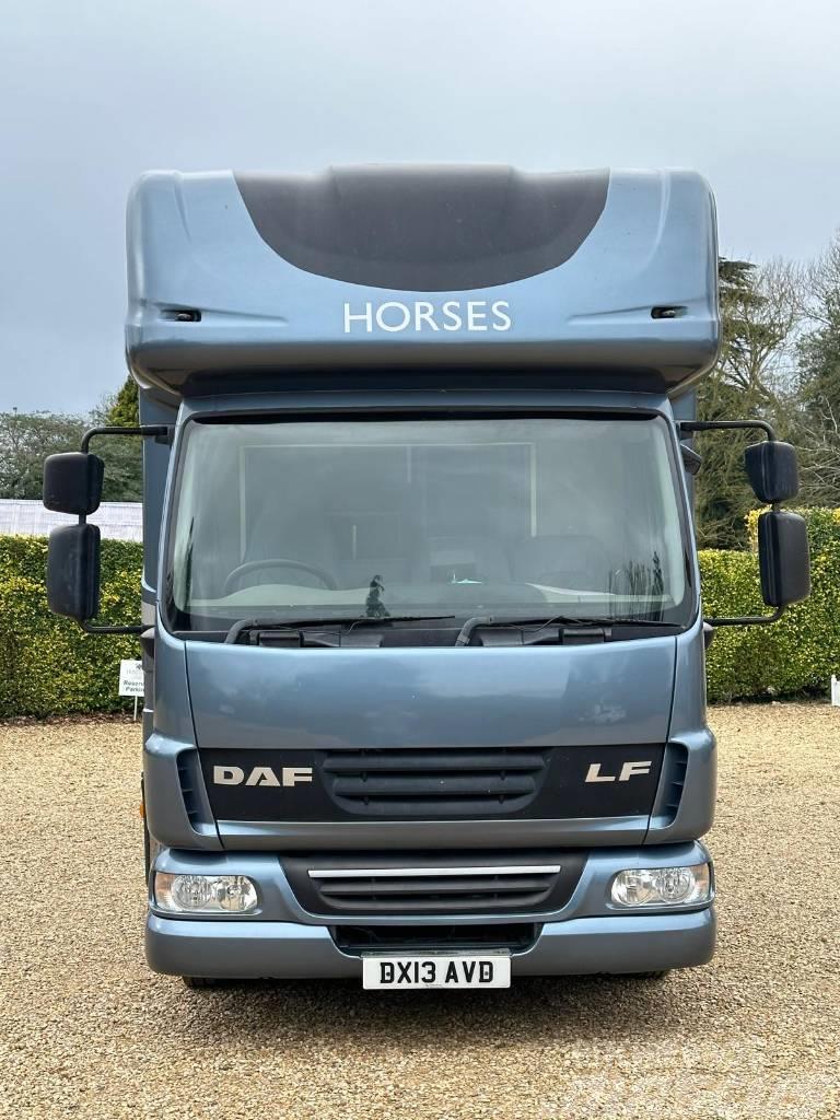 DAF LF Horsebox (2020 Build) Camiones de ganado