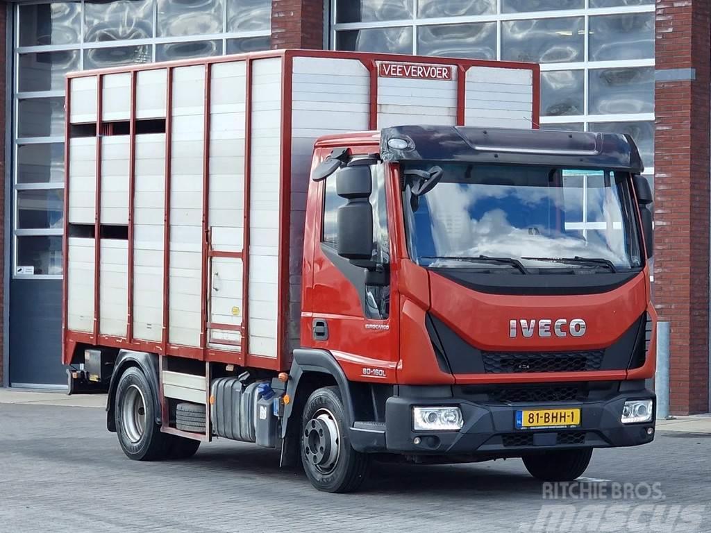 Iveco Eurocargo Livestock - Euro 6 - Low KM - Manual gea Camiones de ganado