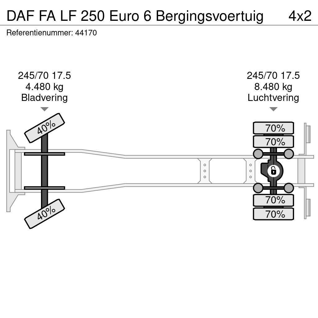 DAF FA LF 250 Euro 6 Bergingsvoertuig Grúas de vehículo