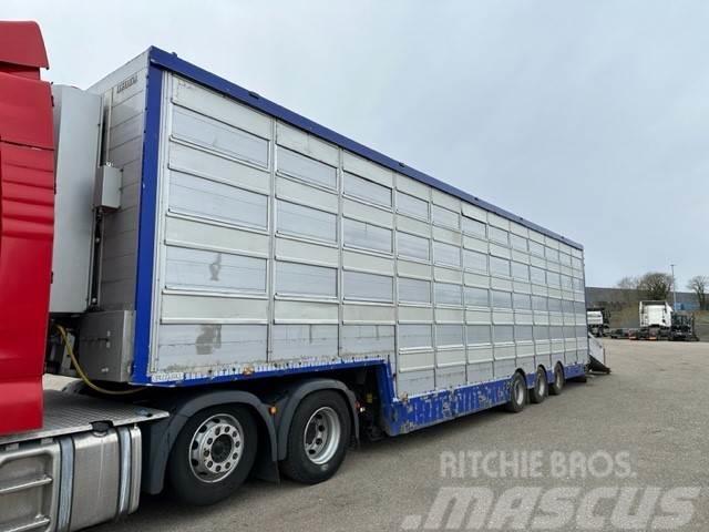 Pezzaioli 5-stock Grise trailer 5-stock Semirremolques de ganado