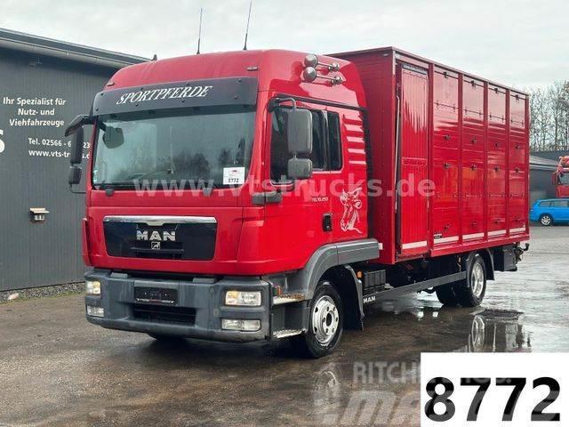 MAN TGL 10.250 4x2 Euro5 1.Stock Westrick Camiones de ganado