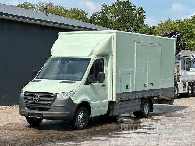 Mercedes-Benz Sprinter 519 CDI CAZOO Sportwagentransporter Camiones portacoches